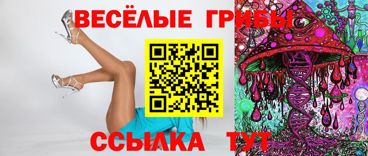 Галлюциногенные грибы прущие грибы Новоалександровск
